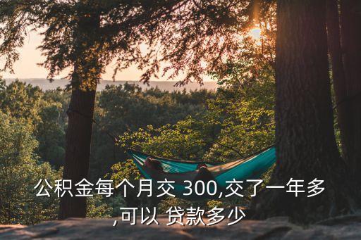 300貸款多少,貸款300萬需要什么條件