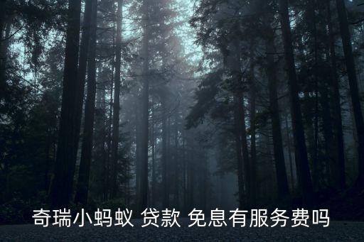 奇瑞小螞蟻 貸款 免息有服務(wù)費嗎