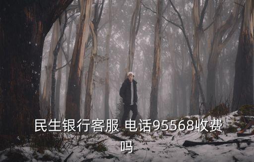  民生銀行客服 電話95568收費嗎