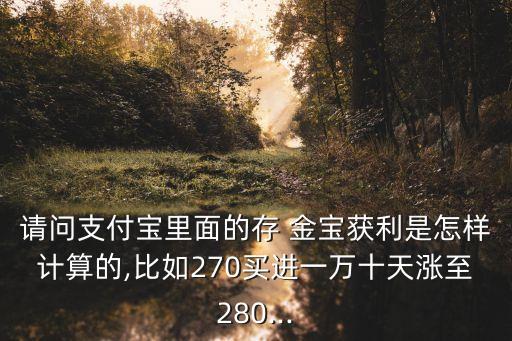 存金寶最高可以買多少錢