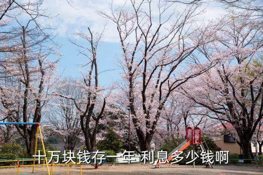 中國(guó)銀行 存10萬兩年利息是多少