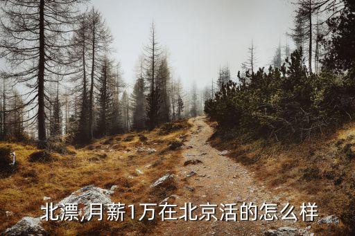 北漂月生活費多少合適,高中生一周生活費多少合適