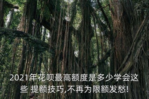 2021年花唄最高額度是多少學(xué)會這些 提額技巧,不再為限額發(fā)愁!