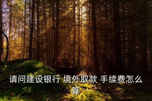 建行境外卡刷卡手續(xù)費是多少錢,建行visa信用卡境外刷卡手續(xù)費