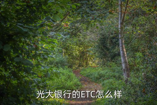  光大銀行的ETC怎么樣