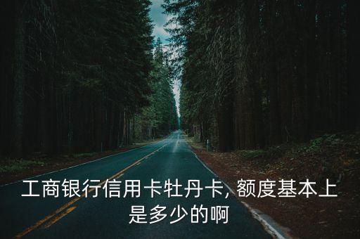 工商銀行信用卡牡丹卡, 額度基本上是多少的啊