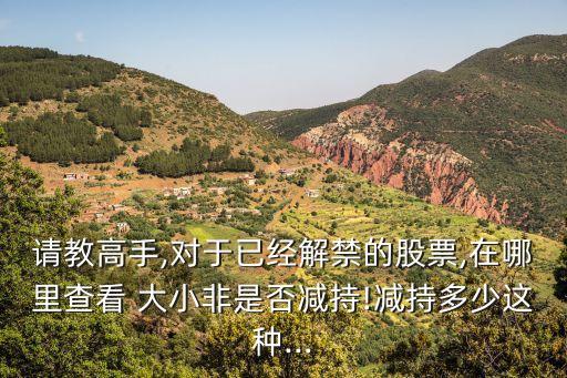 還有多少 大小非,摩托車大小非多少錢