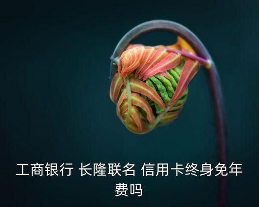 中國(guó)工商銀行長(zhǎng)隆信用卡額度是多少