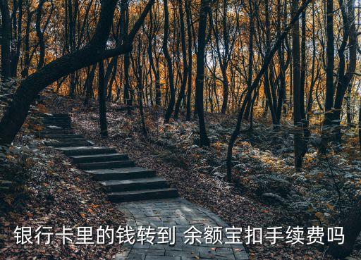 銀行卡里的錢轉到 余額寶扣手續(xù)費嗎