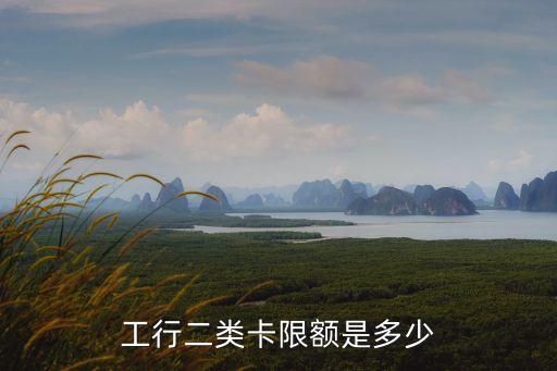 工行二類卡限額是多少