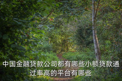中國金融貸款公司都有哪些小額貸款通過率高的平臺有哪些