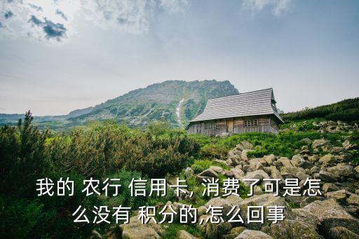 農(nóng)行信用卡消費(fèi)1元多少積分嗎,如何查農(nóng)行信用卡消費(fèi)明細(xì)