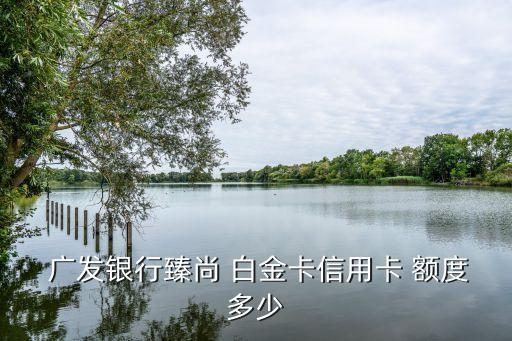 廣發(fā)白金車主卡額度一般多少,廣發(fā)信用卡車主卡額度