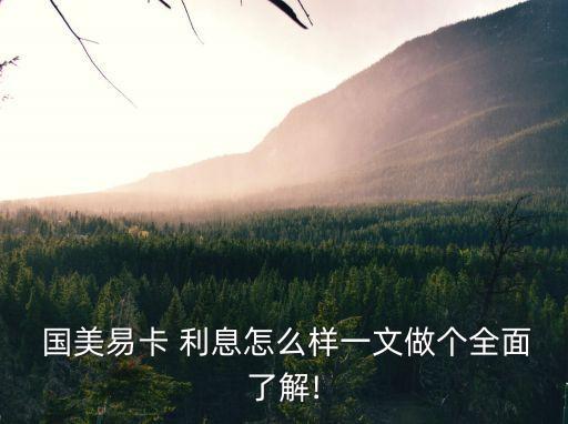 國(guó)美美借利息多少錢,美團(tuán)借30000利息多少