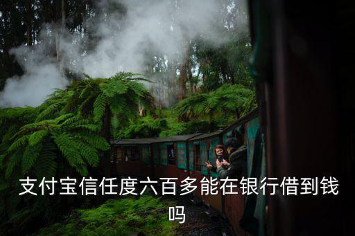  支付寶信任度六百多能在銀行借到錢嗎