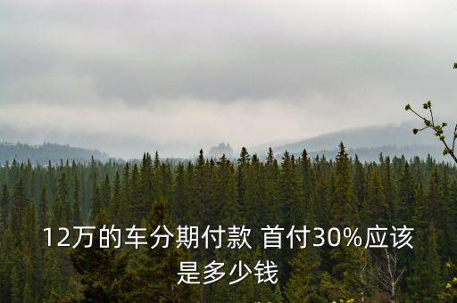 買車12萬首付多少錢,買車首付2萬起是什么情況