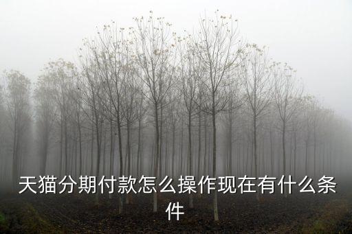 天貓多少級可分期,天貓分期手續(xù)費(fèi)多少