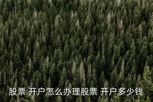 證券 開戶需要多少錢,證券開戶傭金最低排名