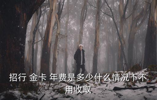 招商銀行銀聯(lián)標(biāo)準(zhǔn)信用卡金卡年費多少