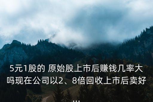 5元1股的 原始股上市后賺錢(qián)幾率大嗎現(xiàn)在公司以2、8倍回收上市后賣(mài)好...