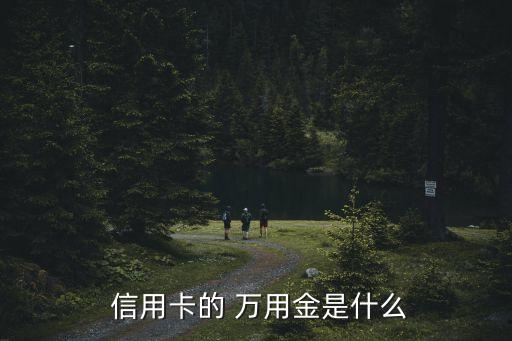 信用卡萬用金可用額度是多少錢