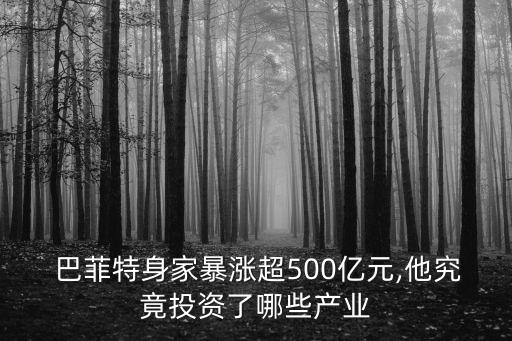  巴菲特身家暴漲超500億元,他究竟投資了哪些產(chǎn)業(yè)