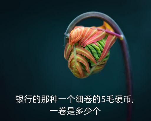 銀行一元一卷有多少個(gè)