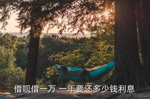 借唄借一萬 一年要還多少錢利息