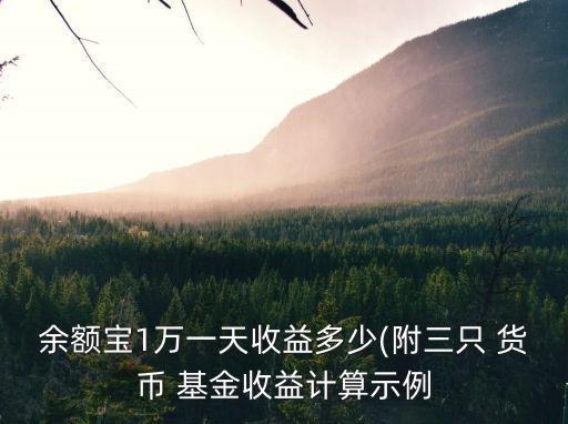 貨幣基金多少只