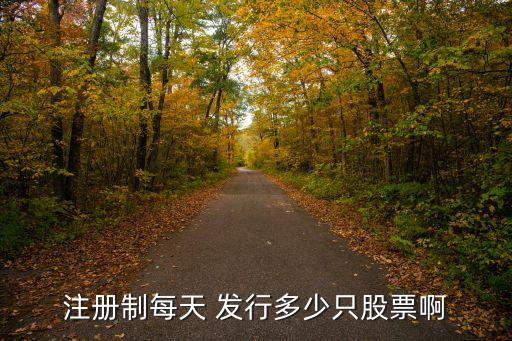 注冊(cè)制每天 發(fā)行多少只股票啊