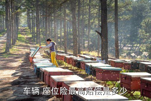 車輛 座位險最高賠償是多少