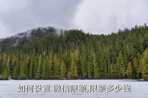 微信申請工商銀行 額度是多少錢,工商銀行微信申請儲蓄卡流程
