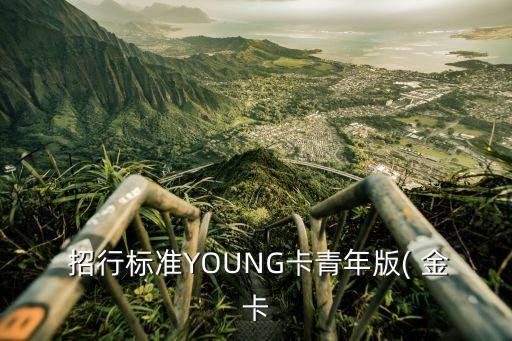  招行標準YOUNG卡青年版( 金卡