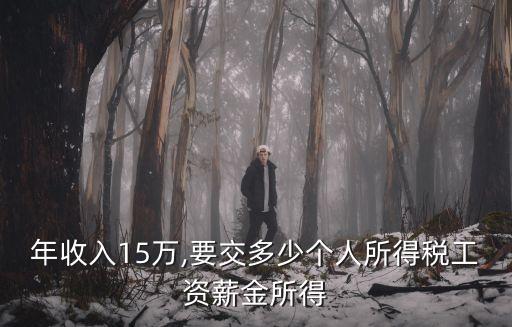 年收入15萬(wàn),要交多少個(gè)人所得稅工資薪金所得