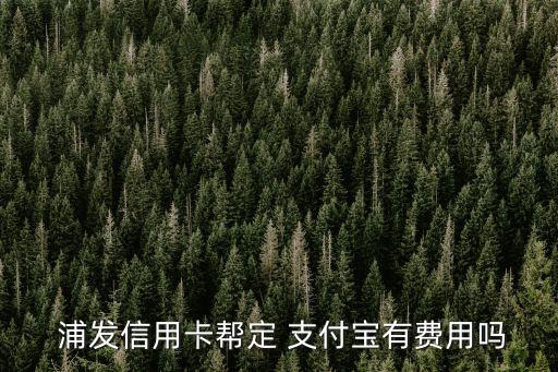 浦發(fā)支付寶多少錢,浦發(fā)30元支付寶代金券怎么用