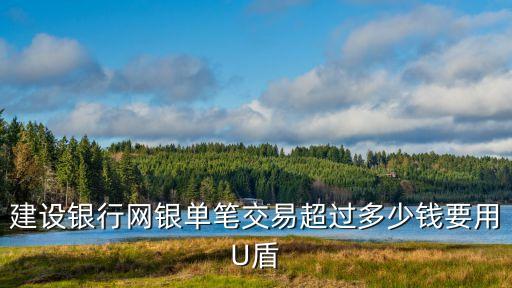 建設(shè)銀行網(wǎng)銀單筆交易超過多少錢要用U盾