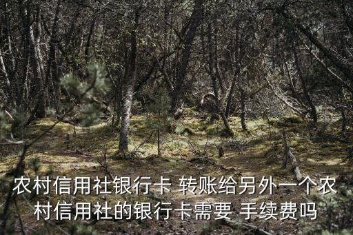 農(nóng)村信用社銀行卡 轉(zhuǎn)賬給另外一個農(nóng)村信用社的銀行卡需要 手續(xù)費(fèi)嗎