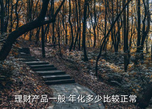 理財產(chǎn)品一般 年化多少比較正常