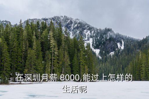 在深圳月薪 8000,能過上怎樣的生活呢