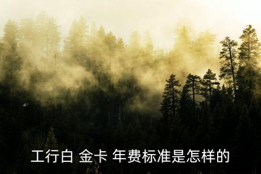 工行白 金卡 年費標準是怎樣的
