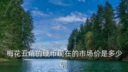  梅花五角的硬幣現(xiàn)在的市場(chǎng)價(jià)是多少呢