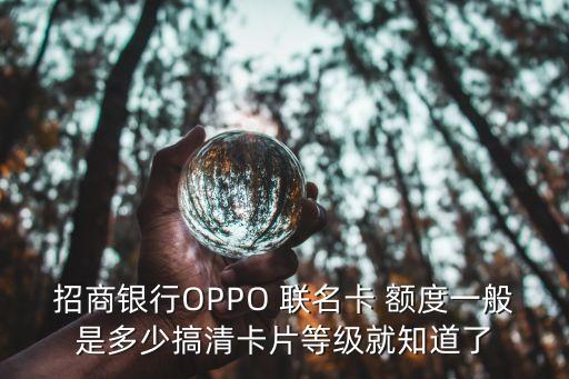 聯(lián)名卡信用卡額度是多少,美團(tuán)聯(lián)名卡和信用卡額度共享嗎