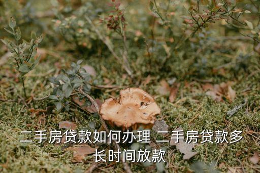 二手房銀行放貸多少