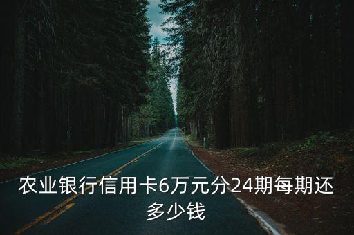 農(nóng)業(yè)銀行信用卡6萬元分24期每期還多少錢