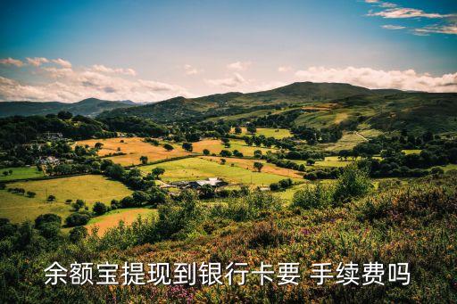 天弘基金手續(xù)費是多少