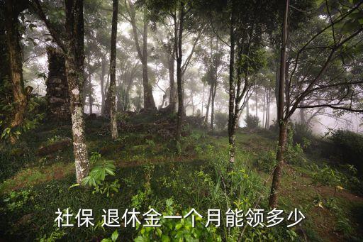 社保 退休金一個(gè)月能領(lǐng)多少