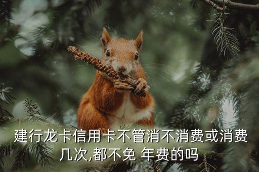 建行卡免年費(fèi)是多少年,建行生活卡怎么免年費(fèi)
