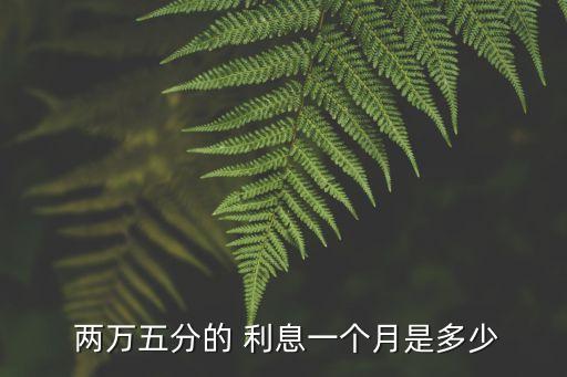 兩萬五分的 利息一個月是多少