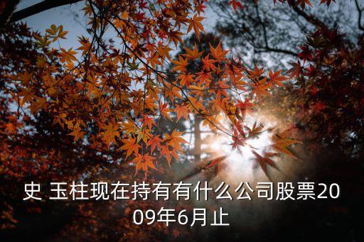 史玉柱占民生銀行多少股份,民生銀行國(guó)家占多少股份