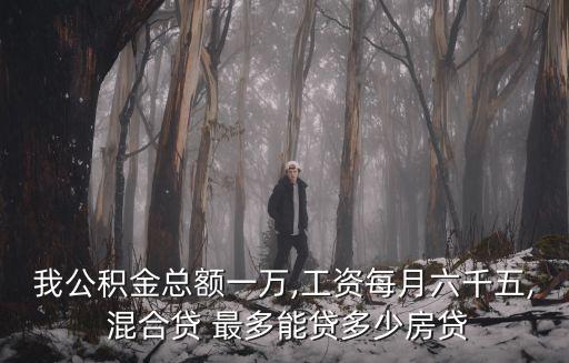個人混合貸款最多能貸多少錢
